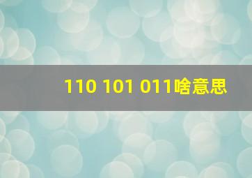 110 101 011啥意思